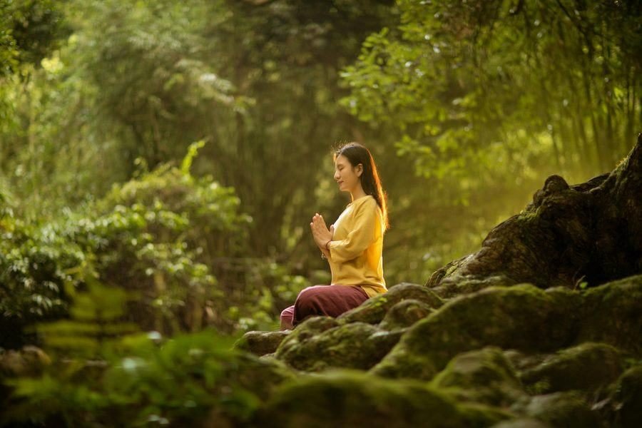 Morning meditation in the forest