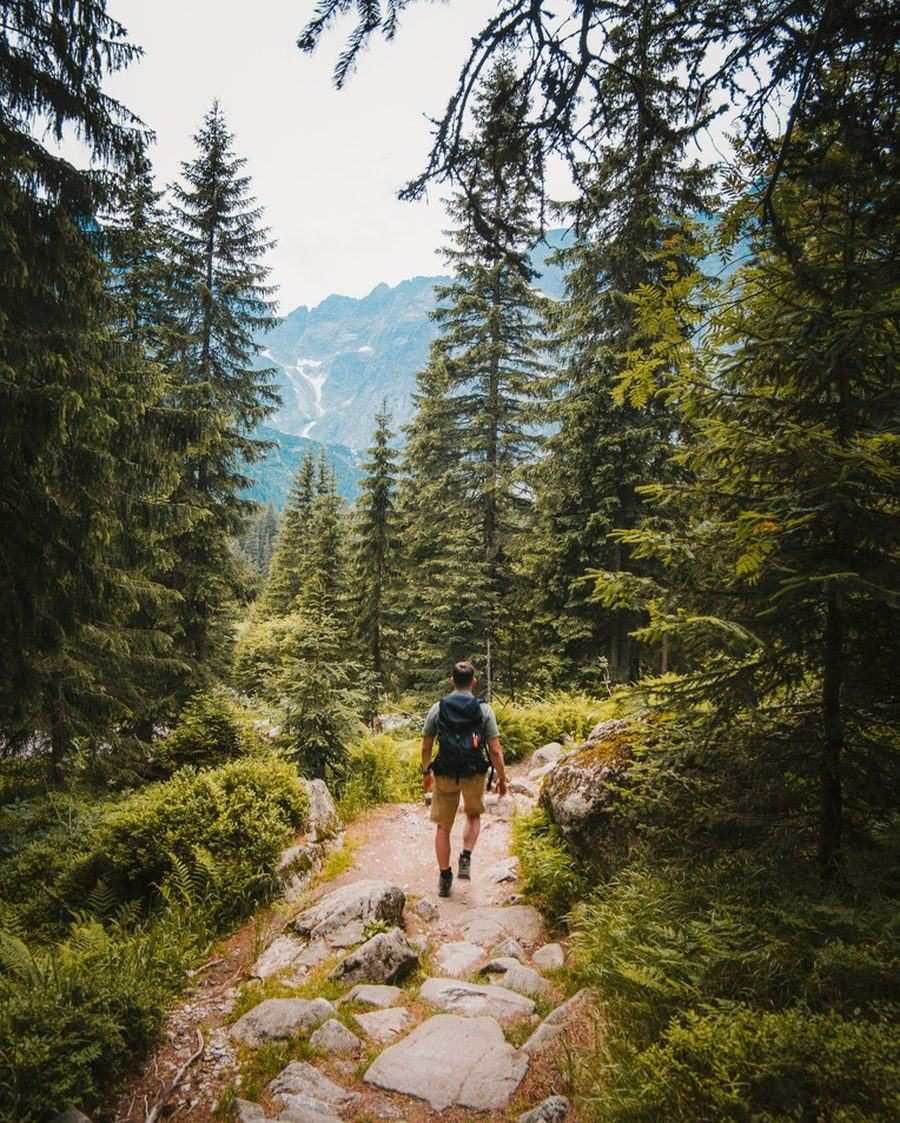 Walking trail through the woods